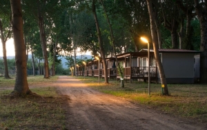 Sapanca bungalov ev (6)