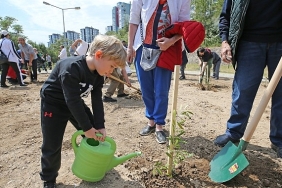 karsiyakada-zeytin-fidanlari-toprakla-bulustu.jpg