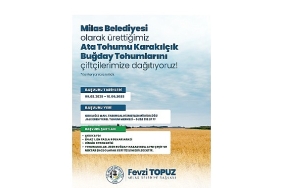 milas-belediyesinden-ureticilere-karakilcik-bugday-tohumu-destegi.jpg
