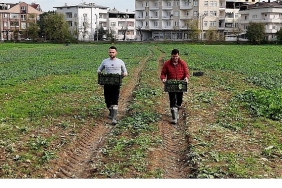 osmangazi-belediyesi-dogal-uretimle-sofralara-saglik-sunuyor.jpg