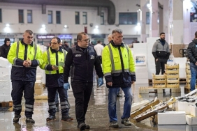 Balık halinde ilk ayda işlem hacmi 9 bin tonu aştı