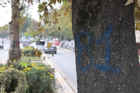 Eyüpsultan-Bayrampaşa Tramvayı’nda Çalışmalar Hızlandı