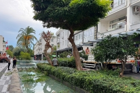 Kemer Liman Caddesi’nde kış öncesi bakım çalışması